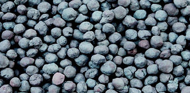 Magnesium Pure